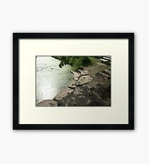 Solitude by the Lake Framed Print