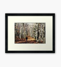 Lovely fall walk Framed Print