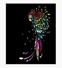 Parrot Broke Photographic Print