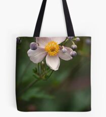A great teacher surrounded by emerging talent Tote Bag