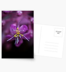 Let's slow dance for a while Postcards
