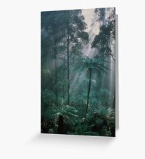 Forest Light I Greeting Card