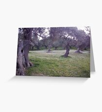 Olive Trees Marry A Flowers' Layer Greeting Card