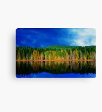 Reflection Canvas Print