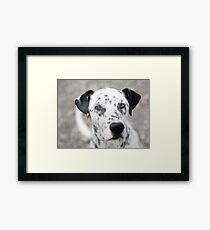 Looking directly to your eyes Framed Print