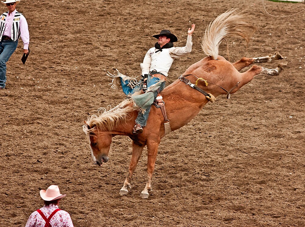 Bareback Bronc Riding By Bckat Redbubble