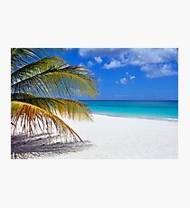 Caribbean beach. Photographic Print