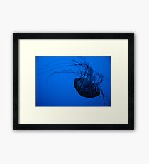 cerulean Framed Print