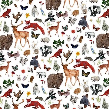 Artwork thumbnail, Wild Woodland Animals by isabellesykes