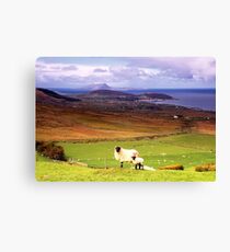 Clew Bay Co. Mayo Canvas Print