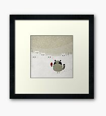 Raccoon Framed Print