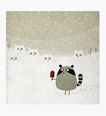 Raccoon Photographic Print