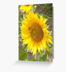 Eat your heart out Van Gogh! Greeting Card