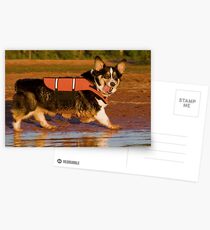 Harbor Patrol Postcards