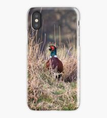 Pheasant iPhone Case iPhone Case/Skin