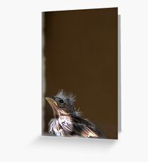 Fledgling Greeting Card