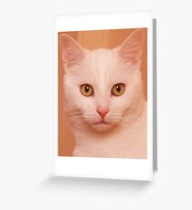 Bilbo Greeting Card