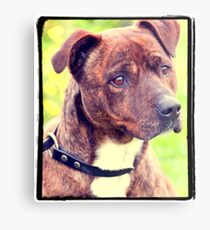 Butch Metal Print