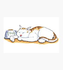 Pook the Protector Photographic Print