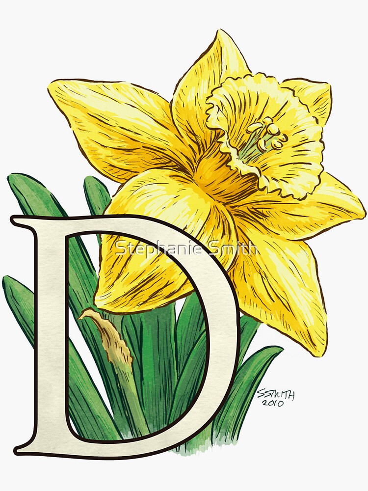 D is for Daffodil Flower Monogram Floating by stephsmith