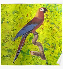 Burung Posters Redbubble