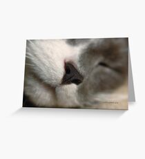 BY A NOSE © Vicki Ferrari Photography Greeting Card