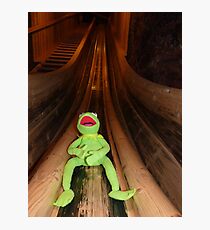 Frog Kermit Slip Mine Salt Mine Photographic Print