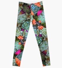 Succulent Garden Leggings