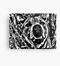 Scary Staff. Metal Print
