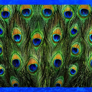 Artwork thumbnail, Peacock Feathers and Indigo Velvet by MeganSteer