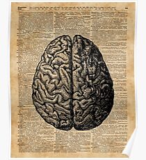 Weinlese-menschliche Anatomie-Gehirn-Illustrations-Wörterbuch-Buch-Seiten-Kunst Poster