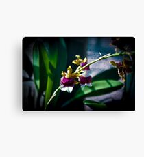 Tiny Flowers Canvas Print