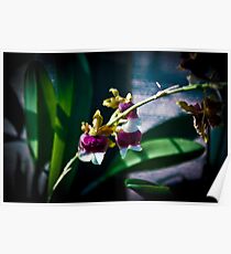 Tiny Flowers Poster