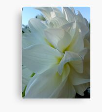 Dahlia. by Brown Sugar. Floral iPad series. You are a gift if you like ! Canvas Print