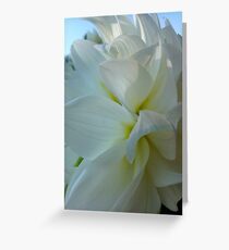 Dahlia. by Brown Sugar. Floral iPad series. You are a gift if you like ! Greeting Card