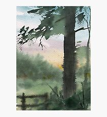 Plein Air 10 Photographic Print
