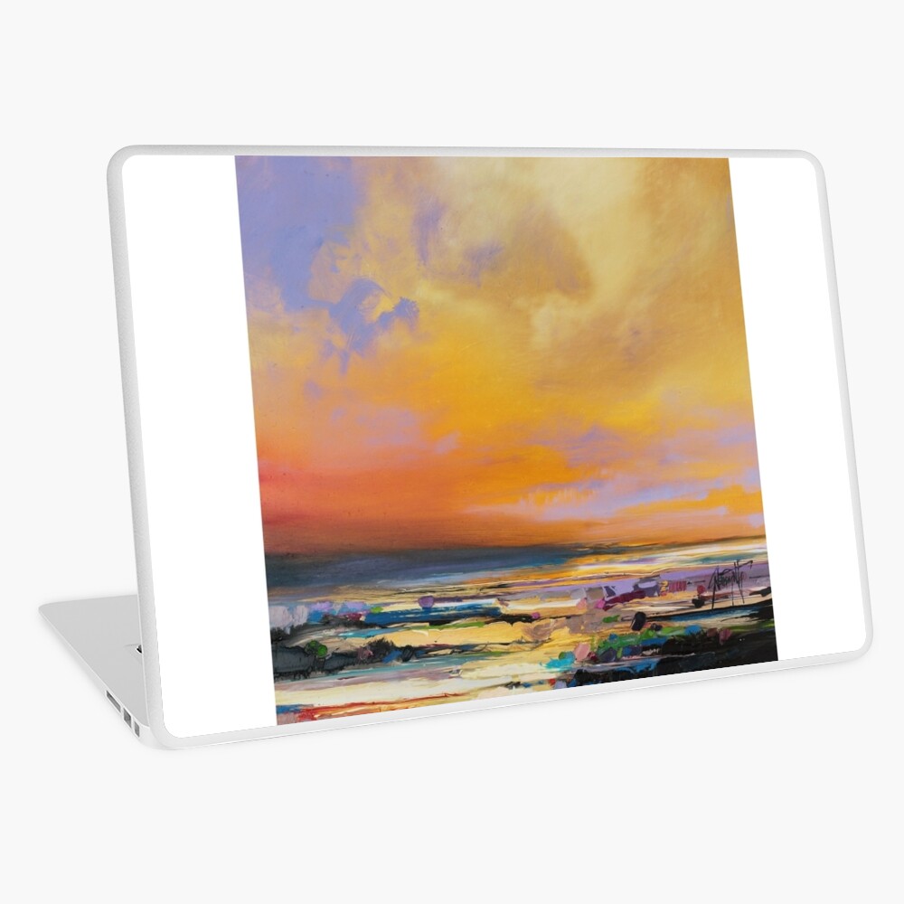 Diminuendo Sky Study Laptop Skin