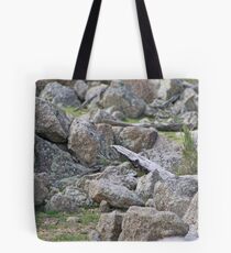 Granite, granite everywhere! Tote Bag