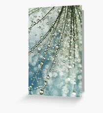 Fairy Rain Greeting Card