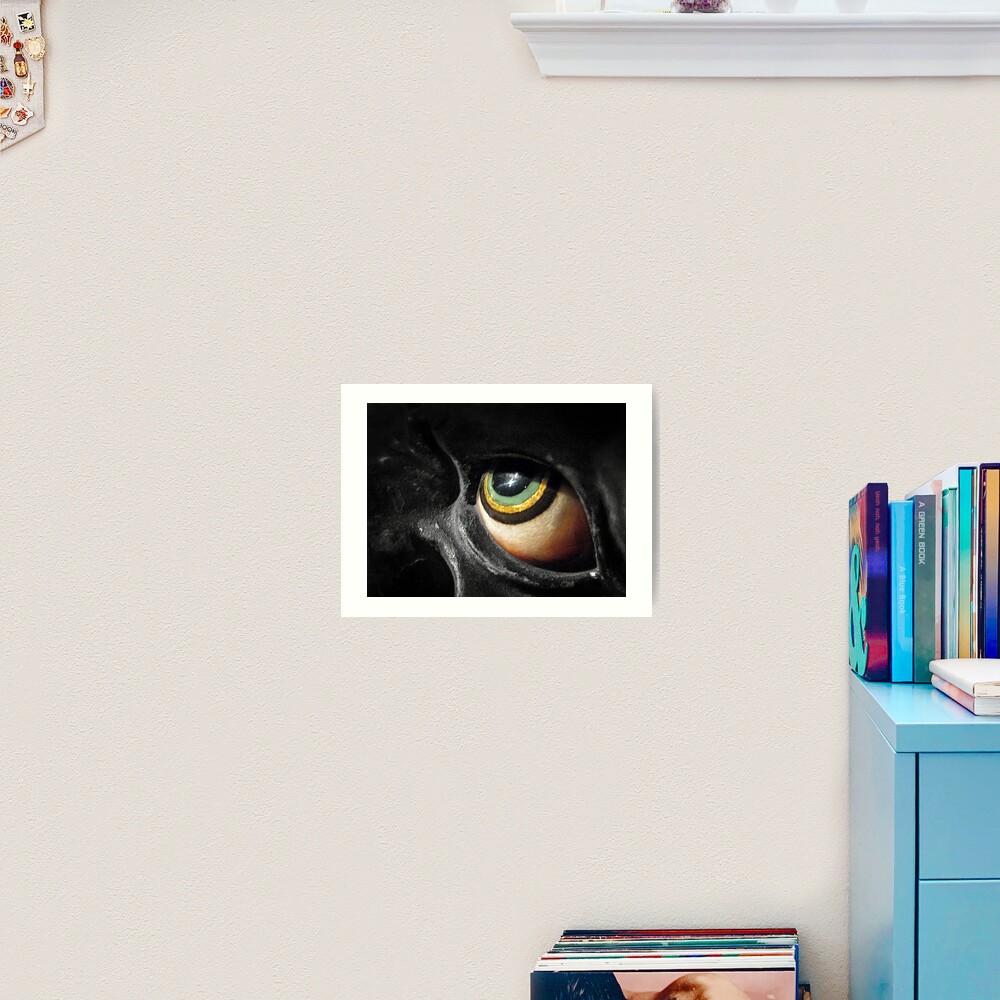 The Eye Art Print