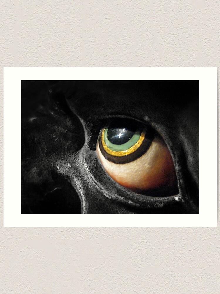 Alternate view of The Eye Art Print