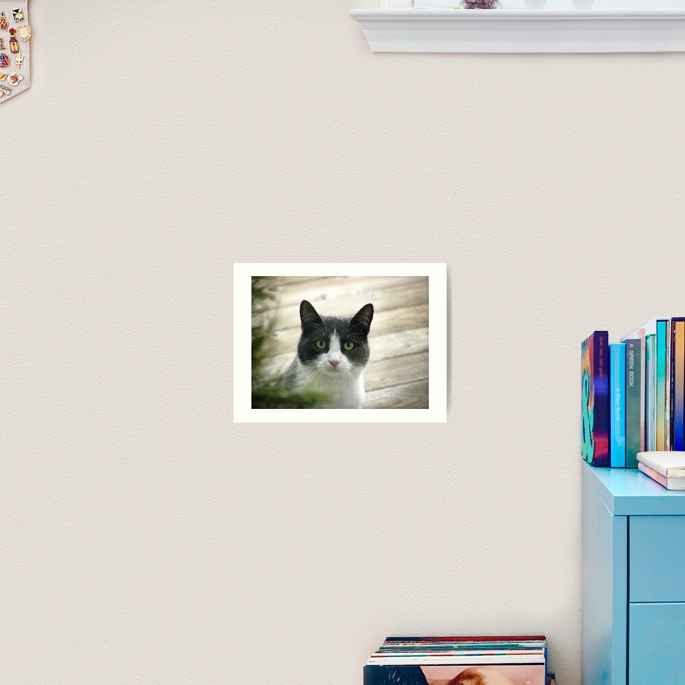 Nobody Knows the Troubles I've Seen Art Print