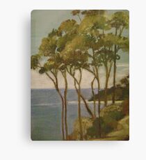 Narooma Canvas Print