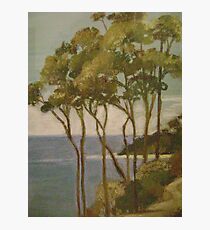Narooma Photographic Print