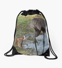 Crane Nursery- Waterfowl Yard Drawstring Bag