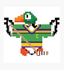Mighty Duck Hunt Photographic Print