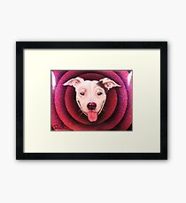 Jimmy Sue Framed Print