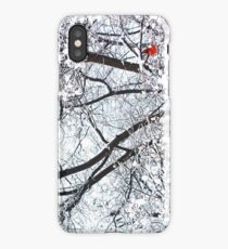 Cardinal in Winter (Central Park) iPhone Case/Skin