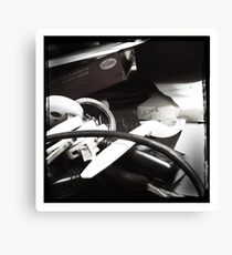Capsule Canvas Print