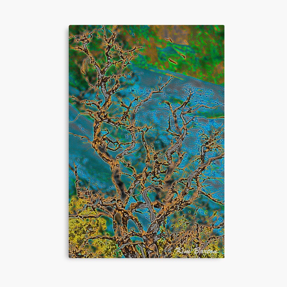 Dreaming Canvas Print